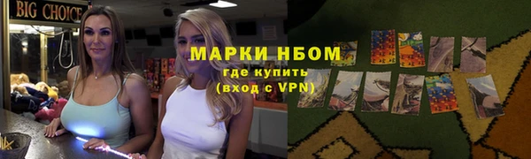 прущие грибы Богородск