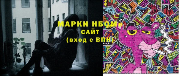 хмурый Бородино