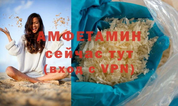молекула духа Богородицк