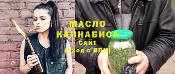 хмурый Бородино