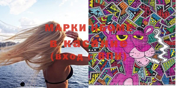 молекула духа Богородицк