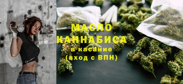 хмурый Бородино