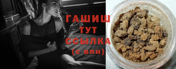 хмурый Бородино
