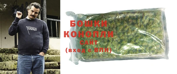 прущие грибы Богородск
