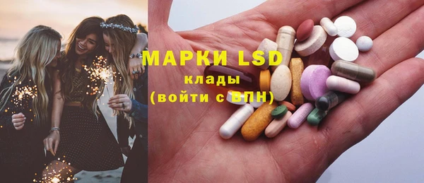 прущие грибы Богородск